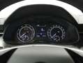 Skoda Kamiq 1.5 TSI Style DSG Rojo - thumbnail 9