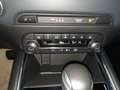 Mazda CX-5 2.5L Exclusive-Line 194 PS Automatik AHK MA Schwarz - thumbnail 14