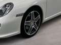Porsche 911 Carrera Coupé II Weiß - thumbnail 5