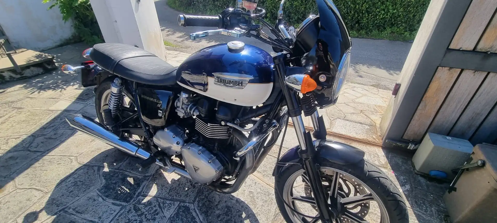 Triumph Bonneville SE - 1