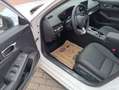 Honda Civic Civic 2.0 i-MMD Hybrid Advance e-CVT Aut. Advance Weiß - thumbnail 14