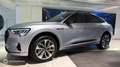 Audi e-tron 55 360ch Avus e-quattro 12cv - thumbnail 8