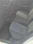 SEAT Ibiza Weiß - thumbnail 9