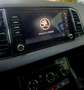 Skoda Karoq Karoq 2.0 TDI SCR 4x4 Ambition Schwarz - thumbnail 8