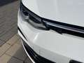 Volkswagen Golf VIII R-Line 2.0 TDI DSG NAVI PANO HUD Kamera Matri Wit - thumbnail 9
