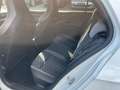 Volkswagen Golf VIII R-Line 2.0 TDI DSG NAVI PANO HUD Kamera Matri Wit - thumbnail 14