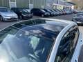 Volkswagen Golf VIII R-Line 2.0 TDI DSG NAVI PANO HUD Kamera Matri Wit - thumbnail 8