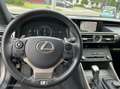 Lexus IS 300 300h F Sport Edition, 1e eigenaar, btw auto Grijs - thumbnail 9