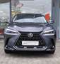 Lexus NX 350h E-FOUR Executive Line Gris - thumbnail 1