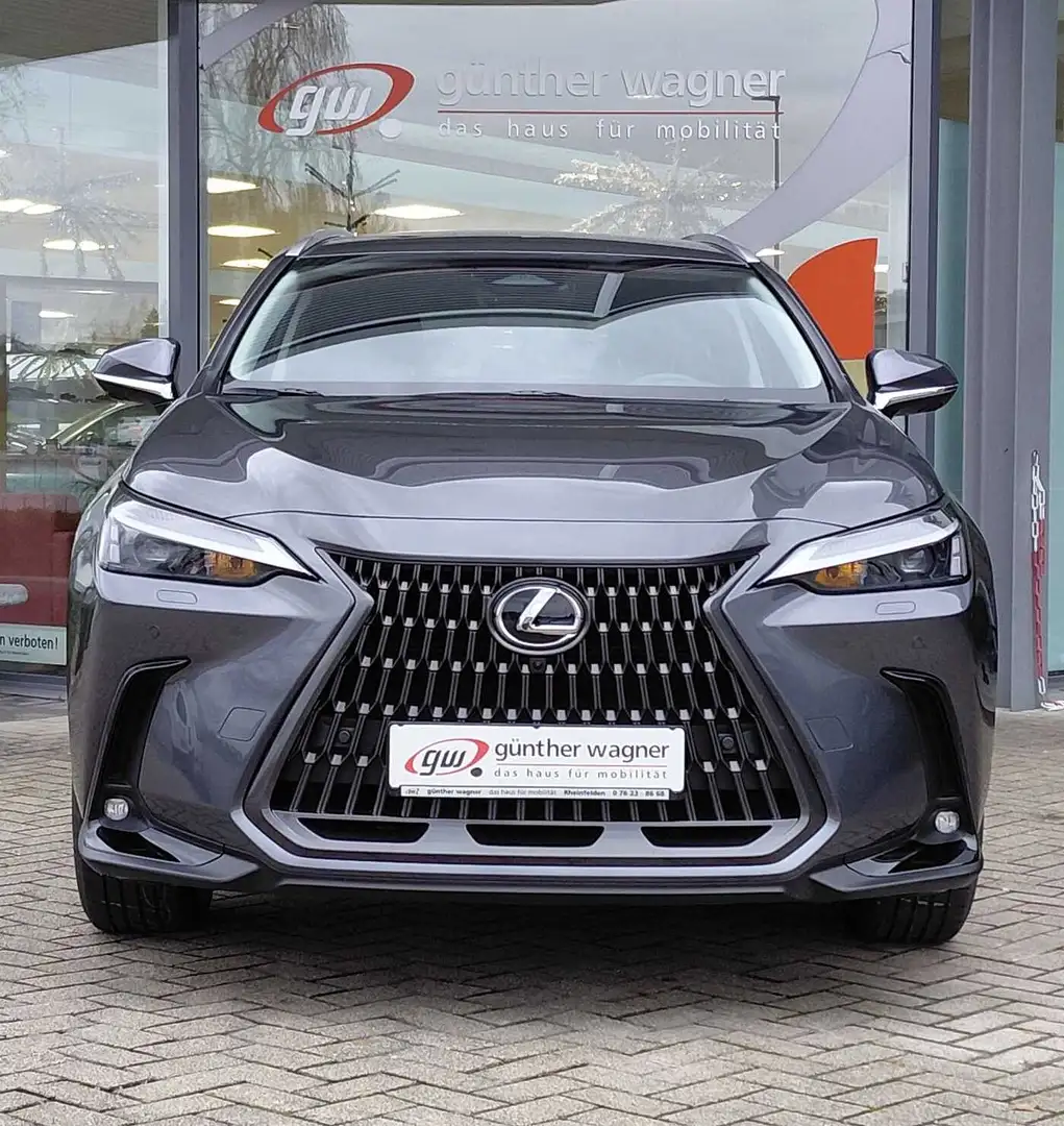 Lexus NX 350h E-FOUR Executive Line Gris - 1