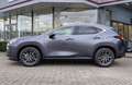 Lexus NX 350h E-FOUR Executive Line NX 350h E-FOUR EXECUTIVE LIN Grau - thumbnail 8