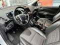 Ford Kuga 1.5 EcoB. Auto S&S Trend 4x2 150 Blanco - thumbnail 10