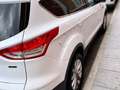 Ford Kuga 1.5 EcoB. Auto S&S Trend 4x2 150 Blanco - thumbnail 17