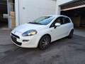 Fiat Punto More Blanco - thumbnail 1