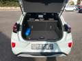 Ford Puma ST-Line, 5 JGA*schw .Dach*Wi.Pa*RFK Grau - thumbnail 5