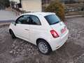 Fiat 500 1.2 Lounge Led-Applecarplay-36000Km-1Proprietario Weiß - thumbnail 4