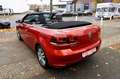 Volkswagen Golf VI Cabriolet Basis DSG Tempomat  SHZ Navi ! Rot - thumbnail 6