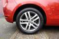 Volkswagen Golf VI Cabriolet Basis DSG Tempomat  SHZ Navi ! Rot - thumbnail 35