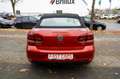 Volkswagen Golf VI Cabriolet Basis DSG Tempomat  SHZ Navi ! Rot - thumbnail 31