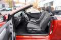 Volkswagen Golf VI Cabriolet Basis DSG Tempomat  SHZ Navi ! Rot - thumbnail 10