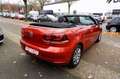Volkswagen Golf VI Cabriolet Basis DSG Tempomat  SHZ Navi ! Rot - thumbnail 8
