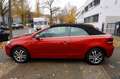 Volkswagen Golf VI Cabriolet Basis DSG Tempomat  SHZ Navi ! Rot - thumbnail 29