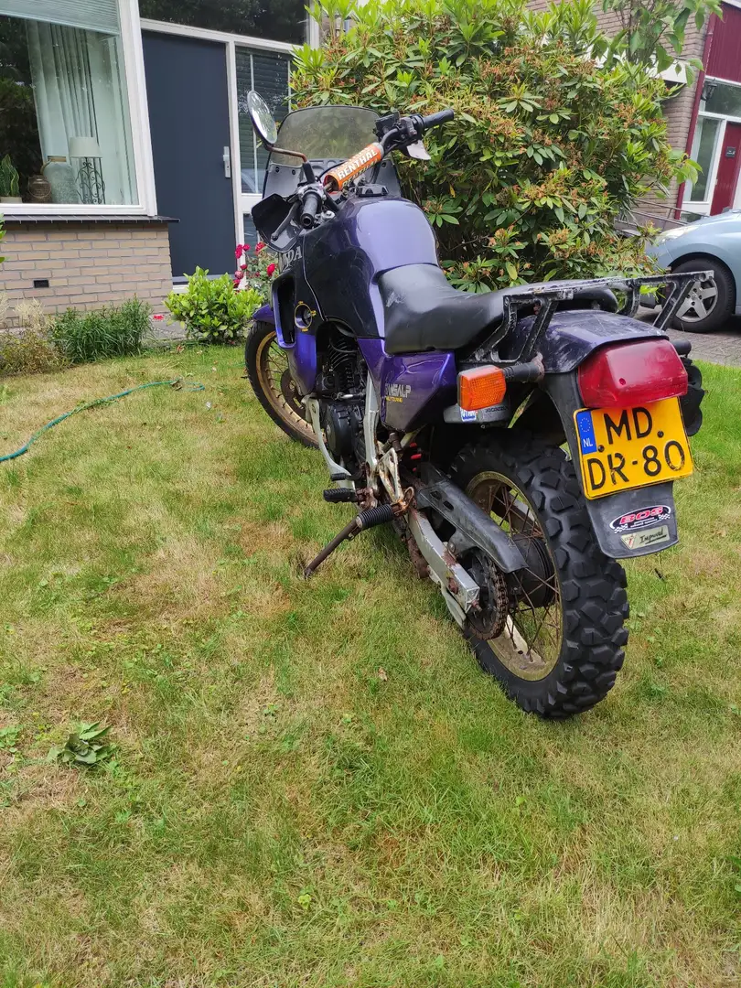 Honda XL 600 transalp - Project Mauve - 2