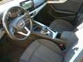 Audi A4 A4  Avant 2.0 tdi  Advanced quattro 204cv s-tronic Gris - thumbnail 6