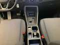 Volkswagen Caddy 1.5 TSI DSG *AHK*ACC*NAVI*PDC*SHZ*DIGITAL* Grau - thumbnail 15