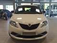 Lancia Ypsilon Ypsilon 1.2 8v Elefantino 69cv my14 Bianco - thumbnail 3