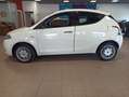 Lancia Ypsilon Ypsilon 1.2 8v Elefantino 69cv my14 Bianco - thumbnail 4