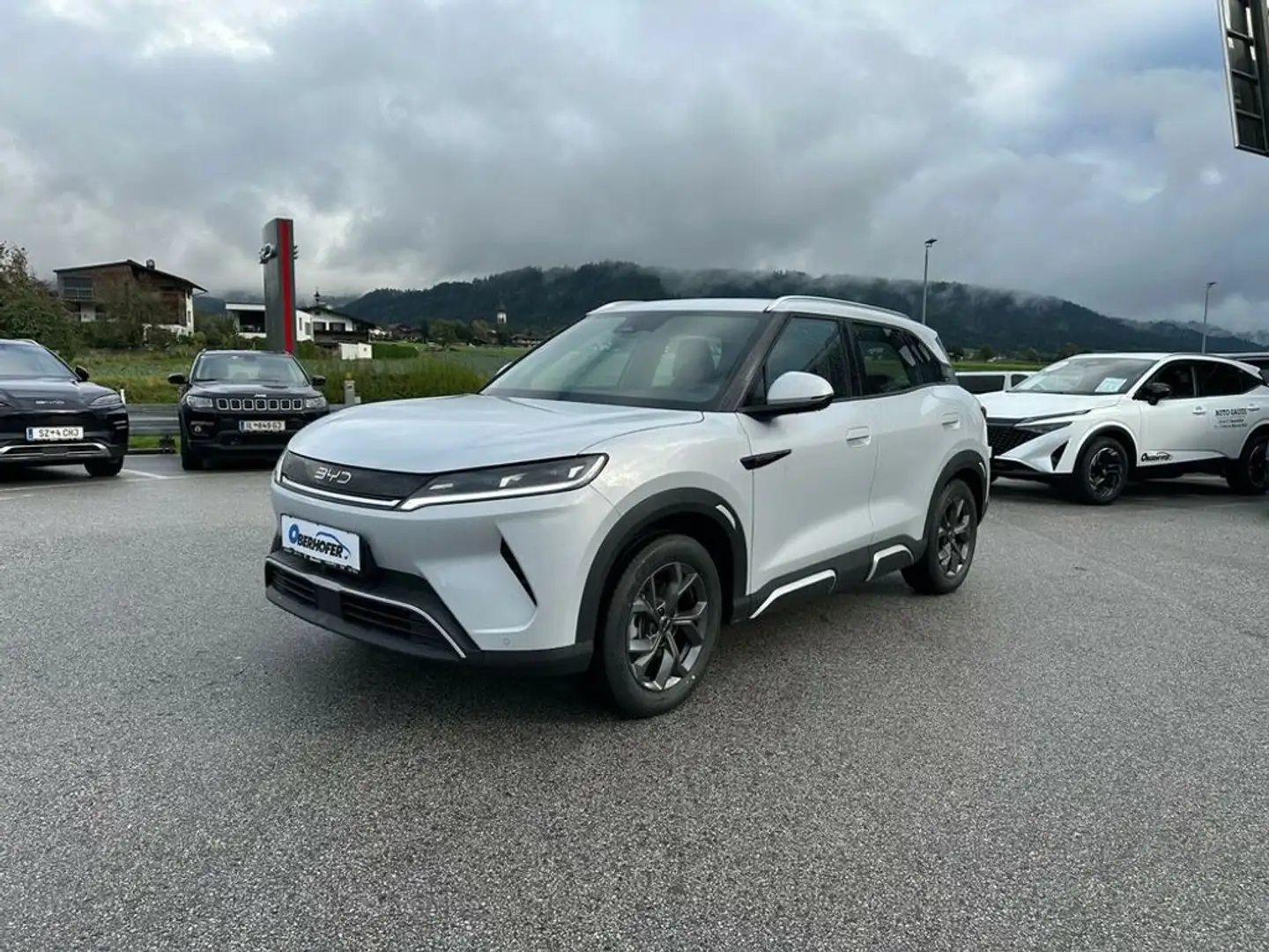 BYD Atto 2 Atto2 45,12 kWh Boost Österreich Paket Blanco - 2