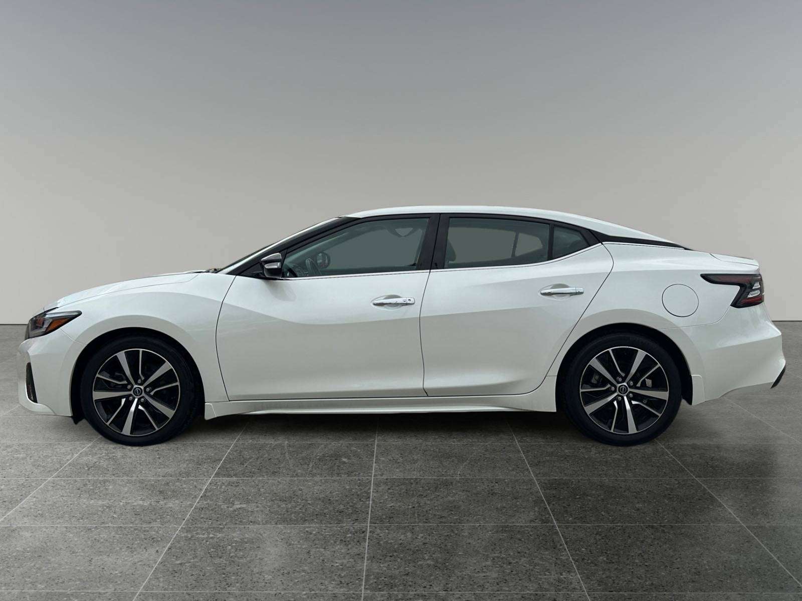2023 Nissan Maxima SL — photo 1