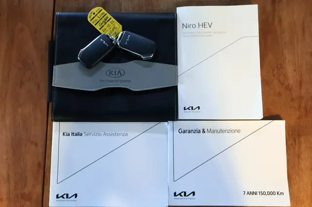 Kia Niro view 29