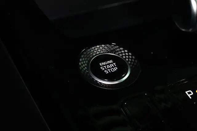 Kia Niro view 22
