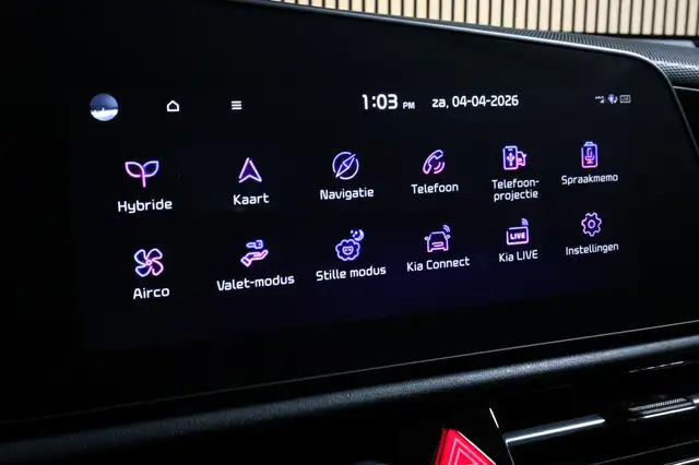 Kia Niro view 19