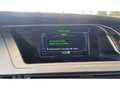 Audi A4 Allroad Quattro 3.0 V6 240 Ambition Luxe - ENTRETI Grau - thumbnail 23