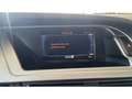 Audi A4 Allroad Quattro 3.0 V6 240 Ambition Luxe - ENTRETI Grau - thumbnail 24