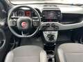 Fiat Panda 1.0 Gse Sport Hybrid Negro - thumbnail 10
