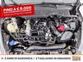 Ford Fiesta 5p 1.0 ecoboost h st-line 125cv Grigio - thumbnail 13