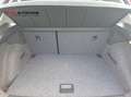 SEAT Arona Style 1.0 TSI Klima SHZ Kamera PDC Rot - thumbnail 7