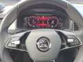 Skoda Kodiaq RS 2.0 TSI DSG 4x4 Business Amundsen Matr Schwarz - thumbnail 10