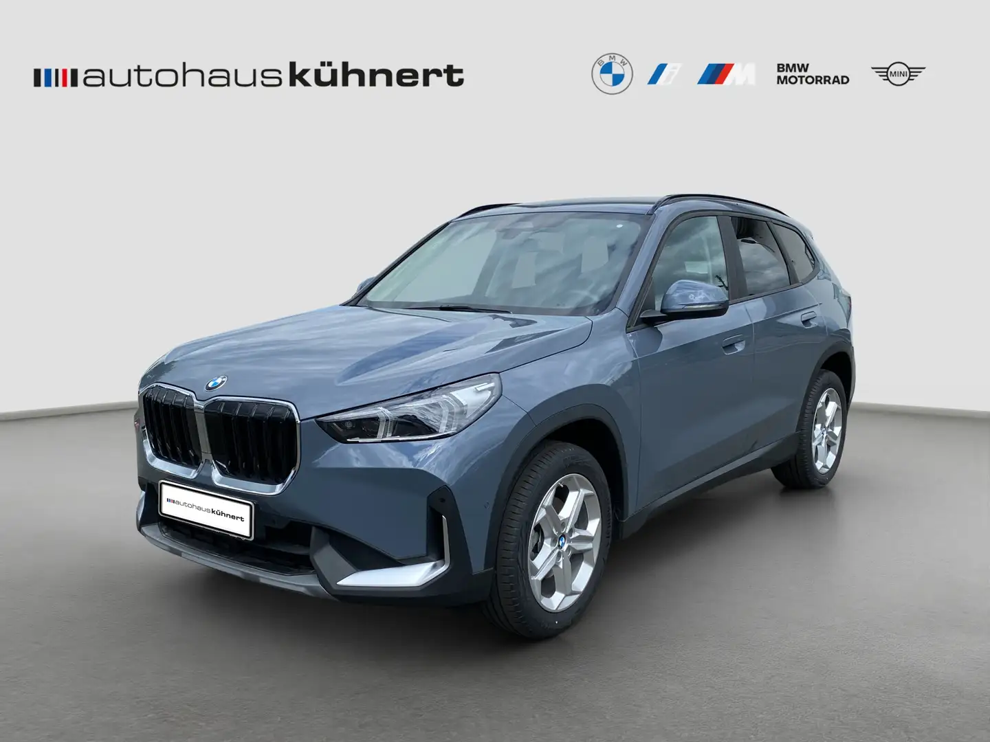 BMW X1 sDrive18i LED SpurAss HiFi Navi ParkAss RFK - 1
