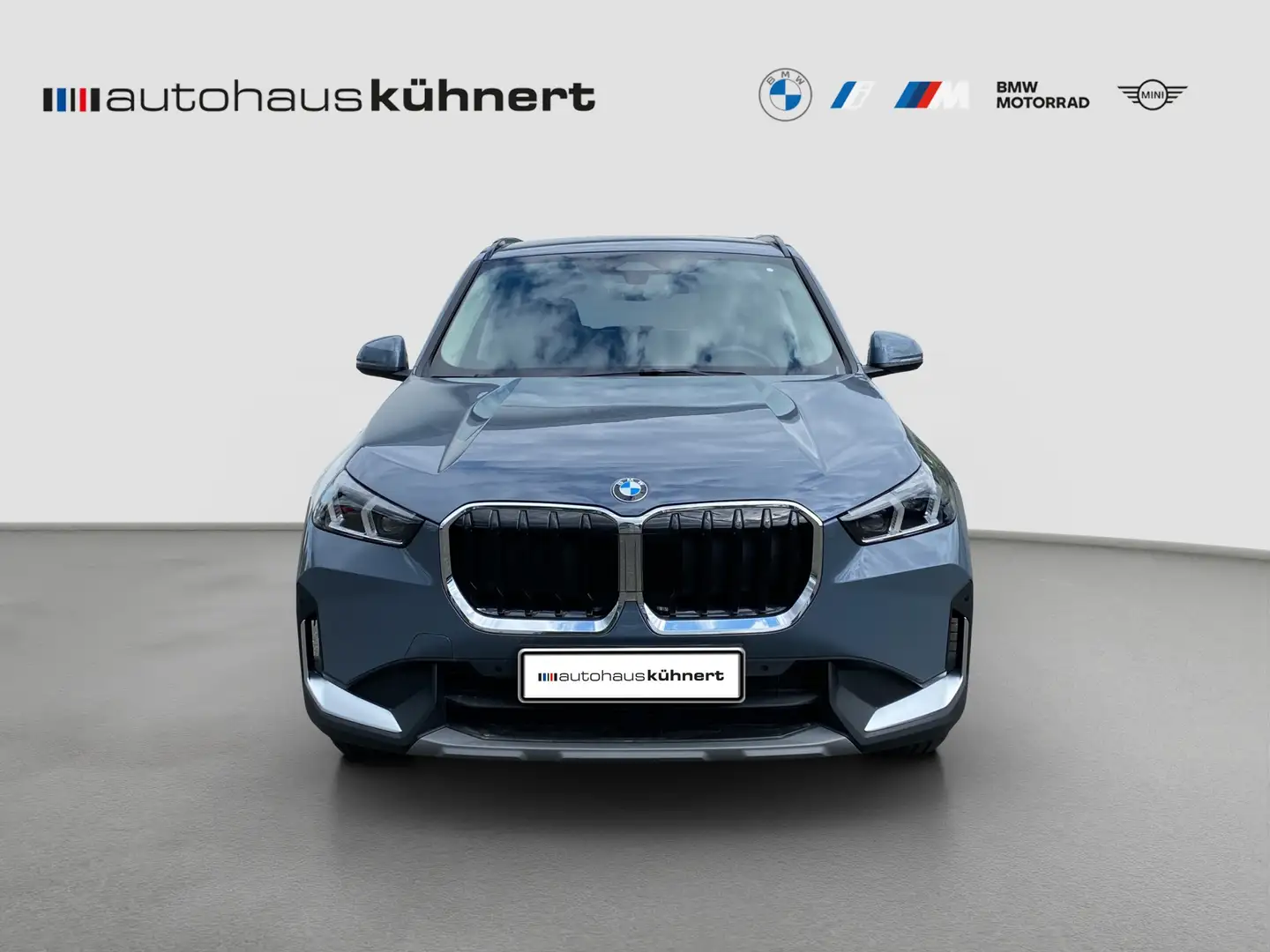 BMW X1 sDrive18i LED SpurAss HiFi Navi ParkAss RFK - 2