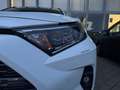 Toyota RAV 4 RAV4 2.5l Hybrid 5-Türer 4x2 Team D + AHK AUT Weiß - thumbnail 5