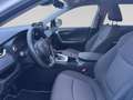 Toyota RAV 4 RAV4 2.5l Hybrid 5-Türer 4x2 Team D + AHK AUT Weiß - thumbnail 7
