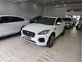 Jaguar E-Pace R-Dynamic SE Navi Camera Tetto C.20" RDynamic Alb - thumbnail 17