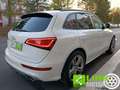 Audi Q5 3.0 V6 TDI 245 CV quattro  Advanced Plus SQ5 Blanc - thumbnail 3