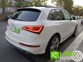 Audi Q5 3.0 V6 TDI 245 CV quattro  Advanced Plus SQ5 Blanc - thumbnail 35