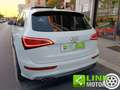 Audi Q5 3.0 V6 TDI 245 CV quattro  Advanced Plus SQ5 Blanc - thumbnail 12